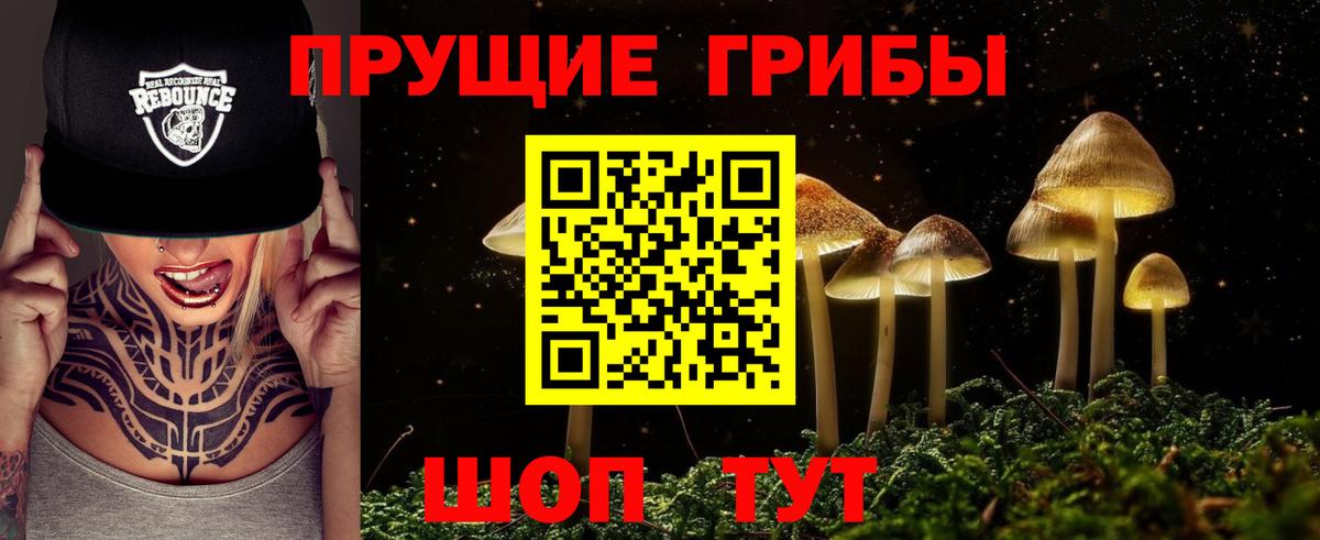 Саров  Псилоцибиновые грибы прущие грибы  Вход с VPN  Псилоцибиновые грибы MAGIC MUSHROOMS 